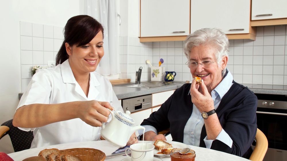 How Seniors Can Benefit from Free Meal Delivery Services